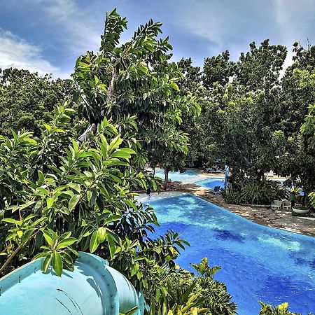 Dominiks Quite And Elegant Studio Ocean View Pool At Tambuli Resort High Floor Lapu-Lapu City Eksteriør bilde
