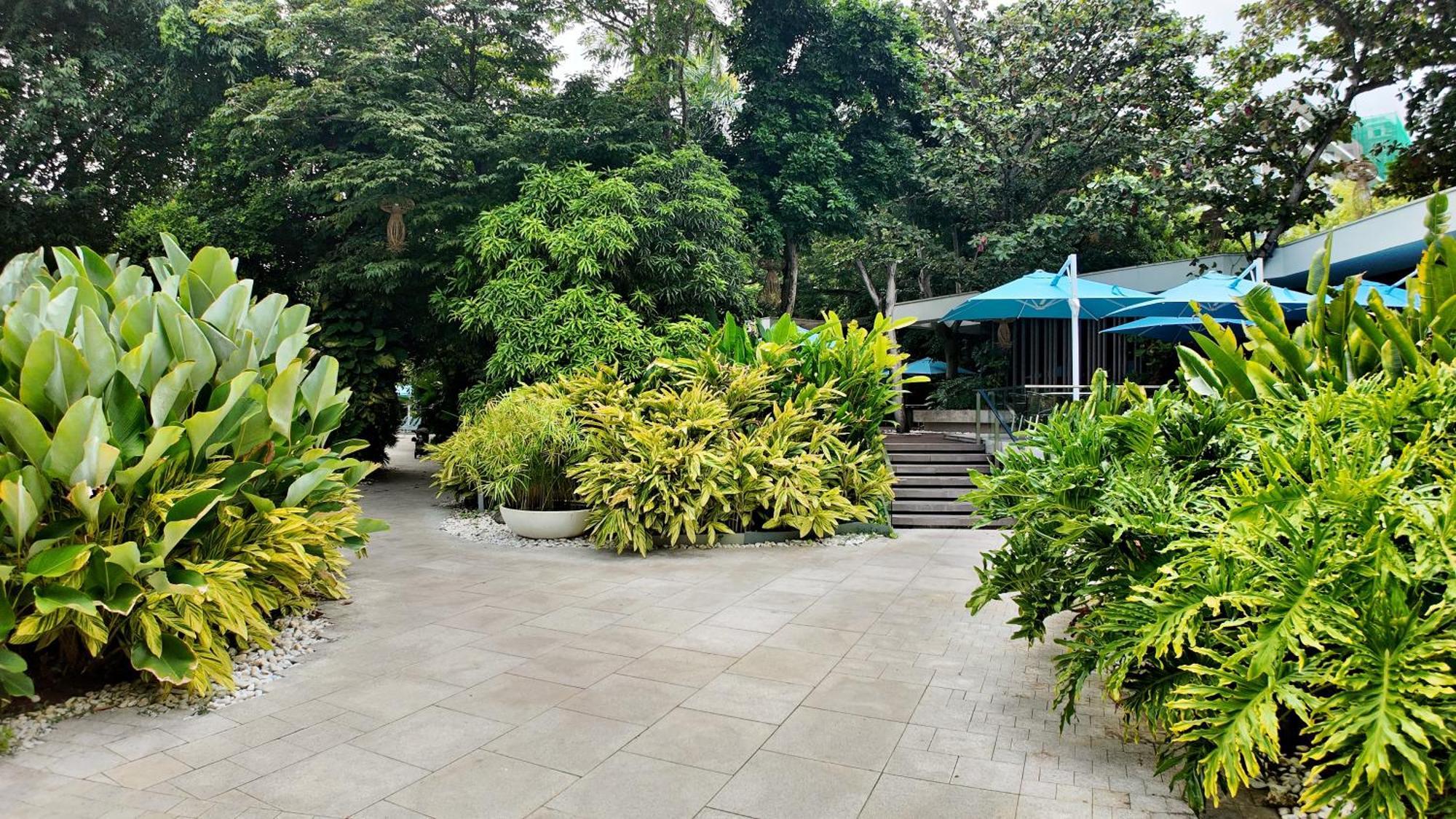 Dominiks Quite And Elegant Studio Ocean View Pool At Tambuli Resort High Floor Lapu-Lapu City Eksteriør bilde